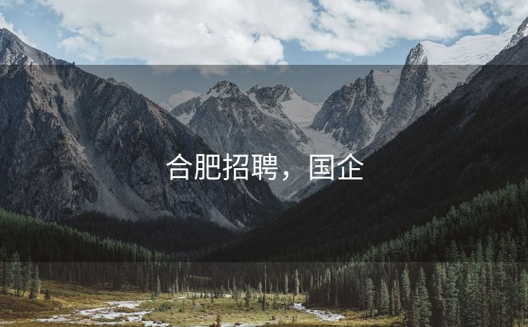 合肥招聘，国企