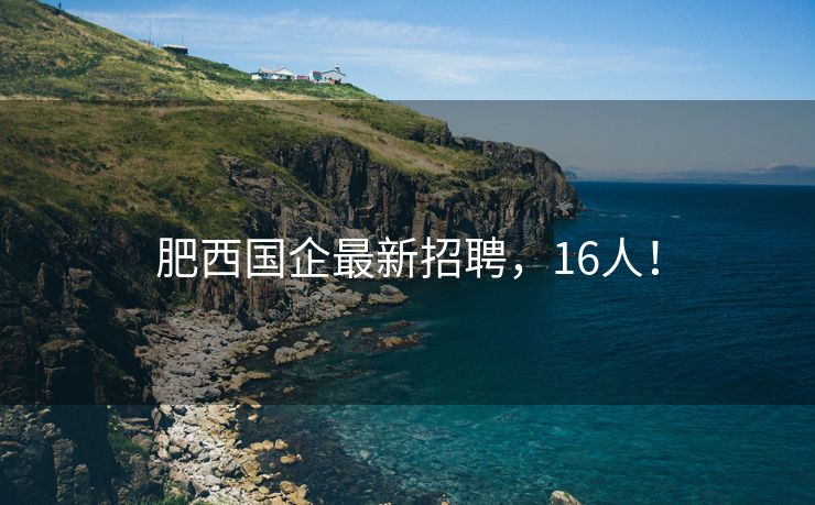 肥西国企最新招聘,16人!