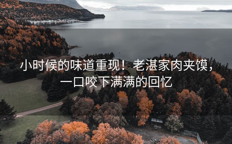 小时候的味道重现！老湛家肉夹馍，一口咬下满满的回忆
