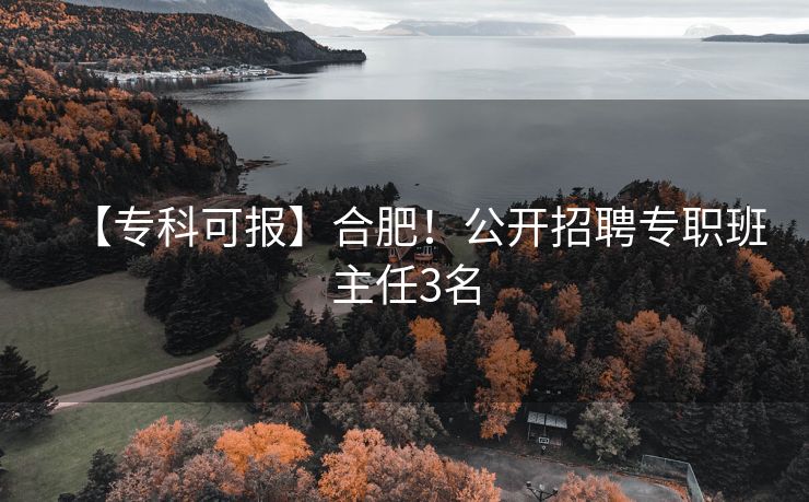 【专科可报】合肥！公开招聘专职班主任3名