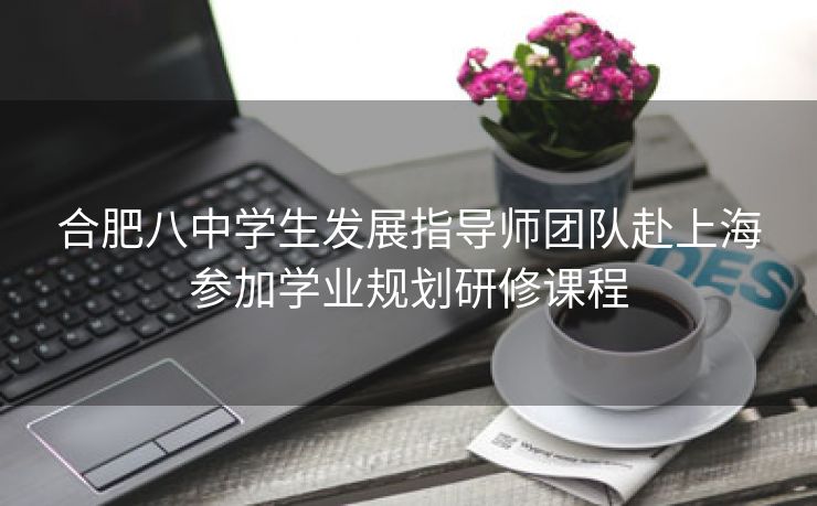 合肥八中学生发展指导师团队赴上海参加学业规划研修课程