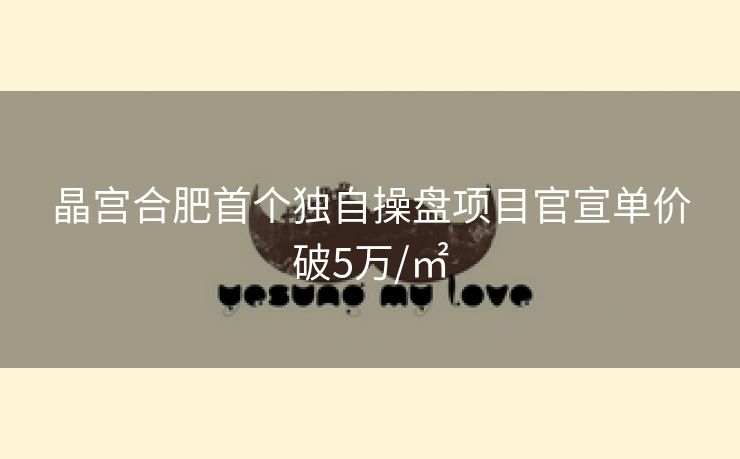 晶宫合肥首个独自操盘项目官宣单价破5万/㎡