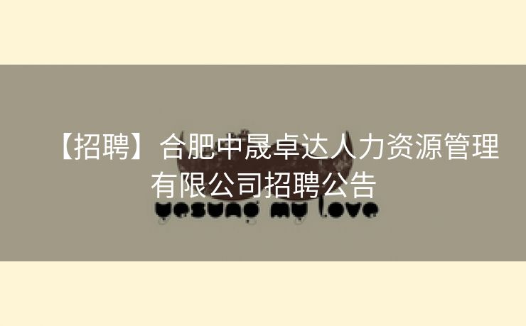 【招聘】合肥中晟卓达人力资源管理有限公司招聘公告