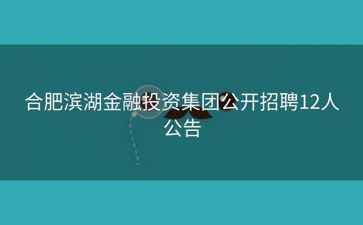 合肥滨湖金融投资集团公开招聘12人公告