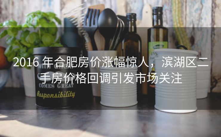 2016 年合肥房价涨幅惊人，滨湖区二手房价格回调引发市场关注