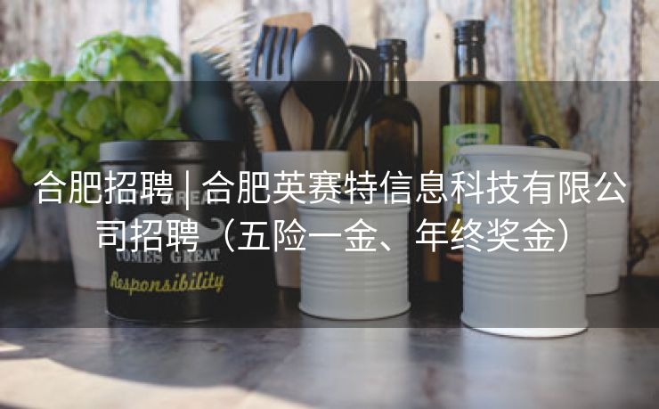 合肥招聘 | 合肥英赛特信息科技有限公司招聘（五险一金、年终奖金）