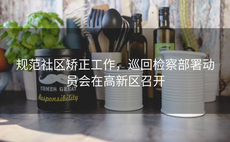 规范社区矫正工作，巡回检察部署动员会在高新区召开