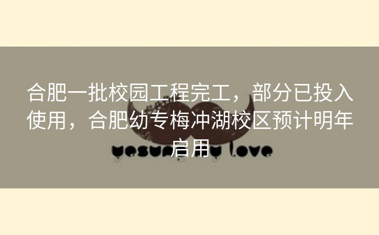 合肥一批校园工程完工，部分已投入使用，合肥幼专梅冲湖校区预计明年启用