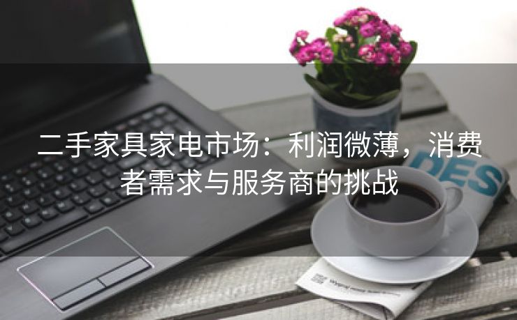 二手家具家电市场：利润微薄，消费者需求与服务商的挑战