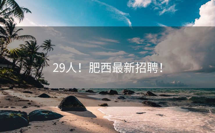 29人！肥西最新招聘！