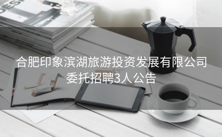 合肥印象滨湖旅游投资发展有限公司委托招聘3人公告