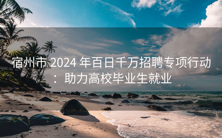 宿州市 2024 年百日千万招聘专项行动：助力高校毕业生就业