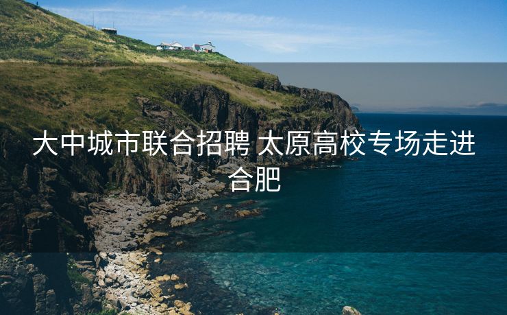 大中城市联合招聘 太原高校专场走进合肥