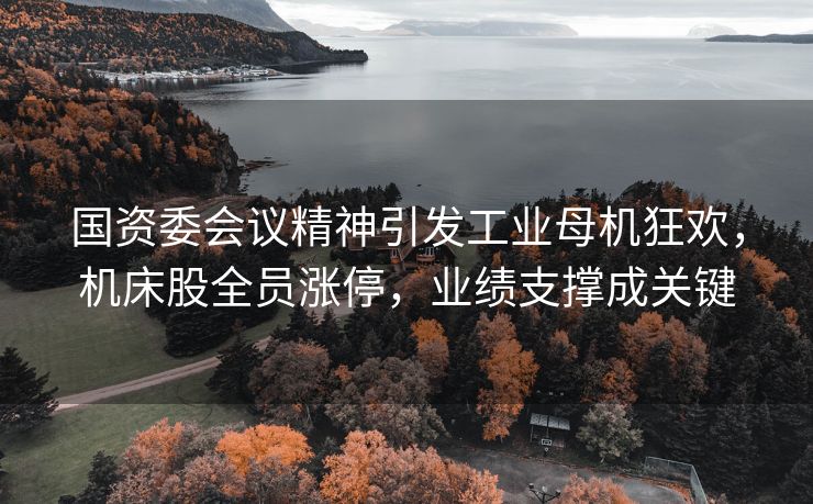 国资委会议精神引发工业母机狂欢,机床股全员涨停,业绩支撑成关键