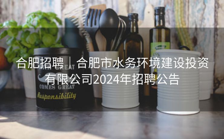 合肥招聘｜合肥市水务环境建设投资有限公司2024年招聘公告