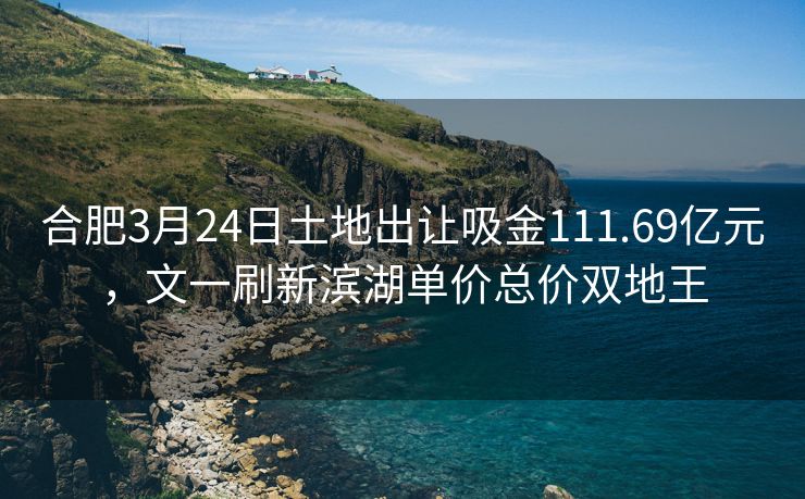 合肥3月24日土地出让吸金111.69亿元，文一刷新滨湖单价总价双地王