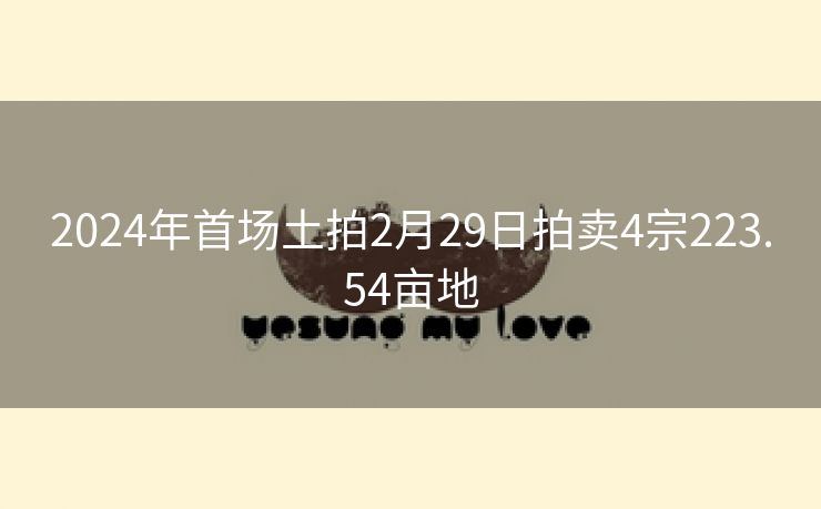 2024年首场土拍2月29日拍卖4宗223.54亩地