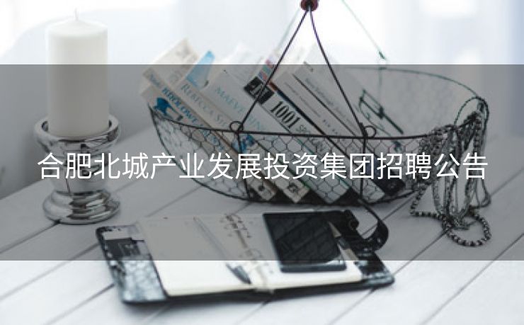 合肥北城产业发展投资集团招聘公告