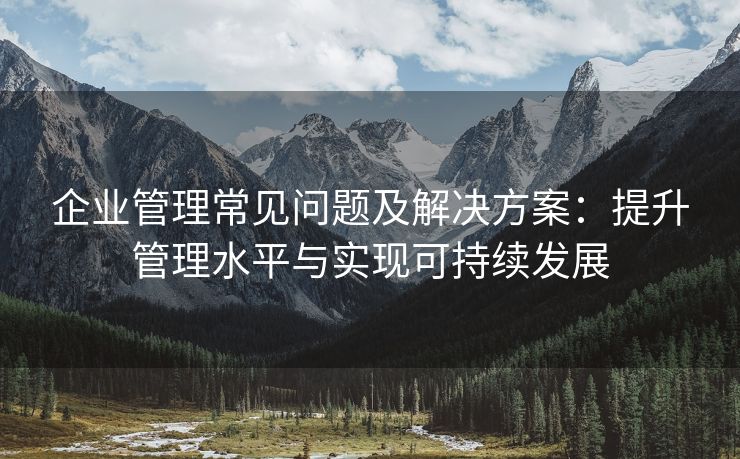 企业管理常见问题及解决方案:提升管理水平与实现可持续发展