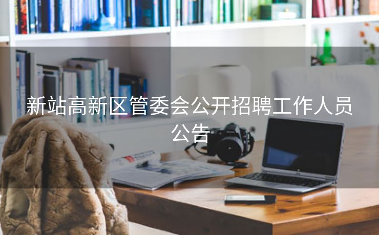 新站高新区管委会公开招聘工作人员公告