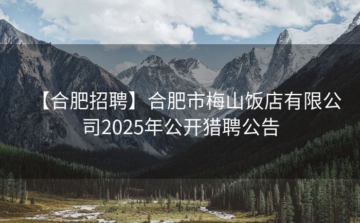 【合肥招聘】合肥市梅山饭店有限公司2025年公开猎聘公告