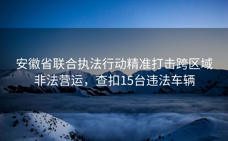 安徽省联合执法行动精准打击跨区域非法营运，查扣15台违法车辆