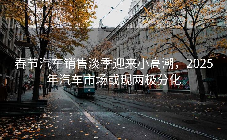 春节汽车销售淡季迎来小高潮,2025年汽车市场或现两极分化