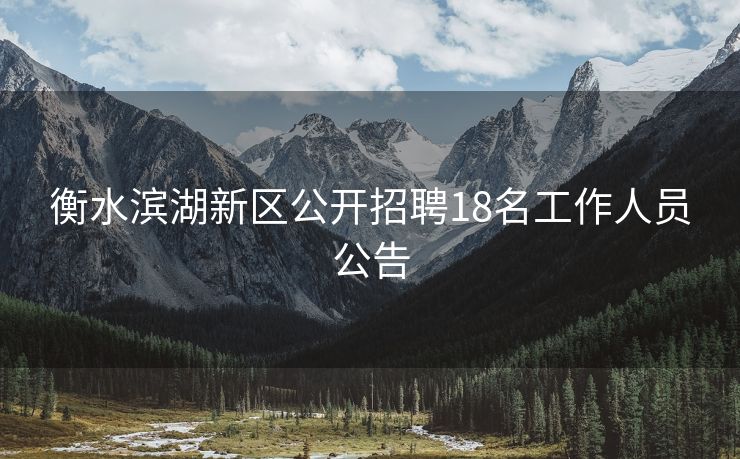 衡水滨湖新区公开招聘18名工作人员公告