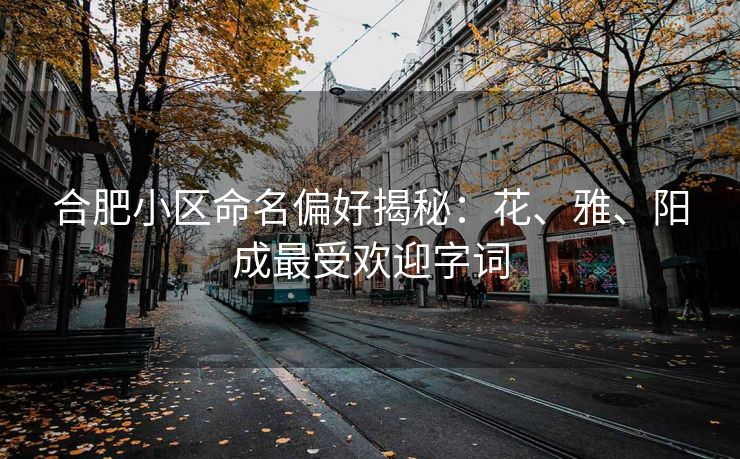 合肥小区命名偏好揭秘：花、雅、阳成最受欢迎字词