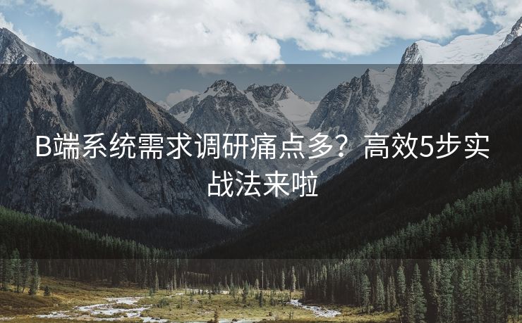 B端系统需求调研痛点多？高效5步实战法来啦