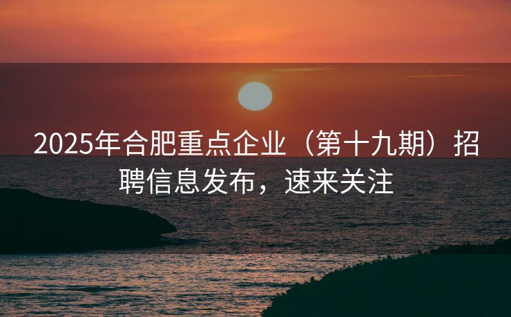 2025年合肥重点企业（第十九期）招聘信息发布，速来关注
