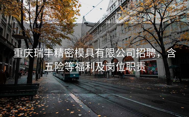重庆瑞丰精密模具有限公司招聘，含五险等福利及岗位职责