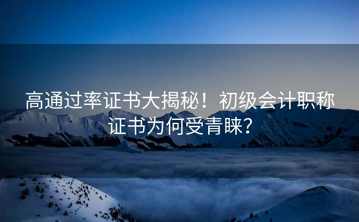 高通过率证书大揭秘！初级会计职称证书为何受青睐？