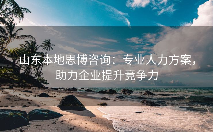 山东本地思博咨询：专业人力方案，助力企业提升竞争力