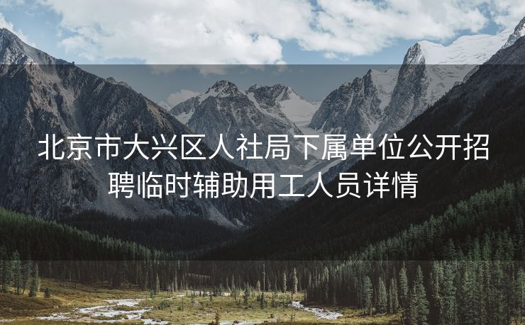 北京市大兴区人社局下属单位公开招聘临时辅助用工人员详情