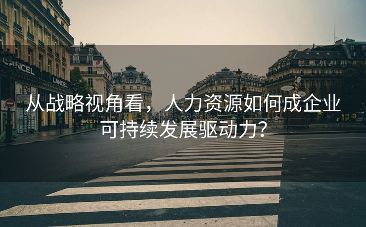 从战略视角看，人力资源如何成企业可持续发展驱动力？