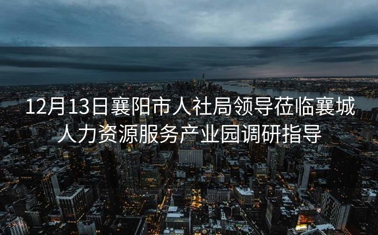 12月13日襄阳市人社局领导莅临襄城人力资源服务产业园调研指导