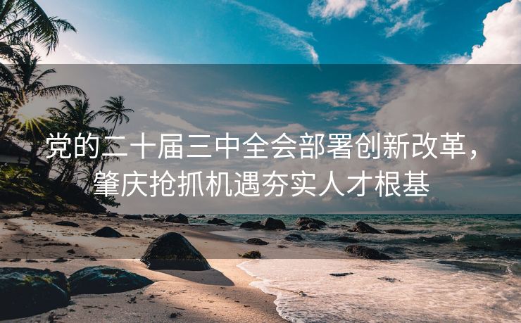 党的二十届三中全会部署创新改革，肇庆抢抓机遇夯实人才根基