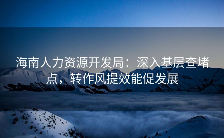 海南人力资源开发局：深入基层查堵点，转作风提效能促发展