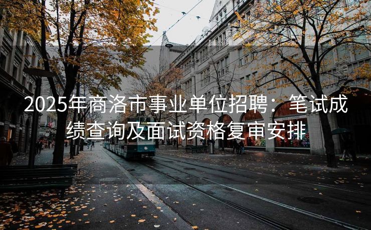 2025年商洛市事业单位招聘：笔试成绩查询及面试资格复审安排