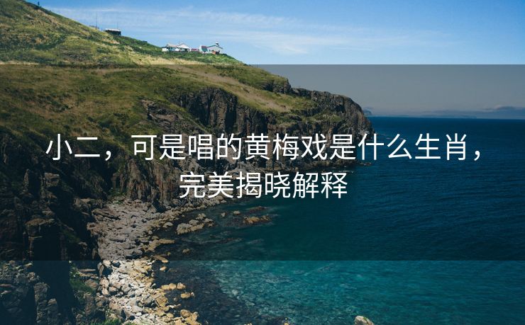 小二，可是唱的黄梅戏是什么生肖，完美揭晓解释