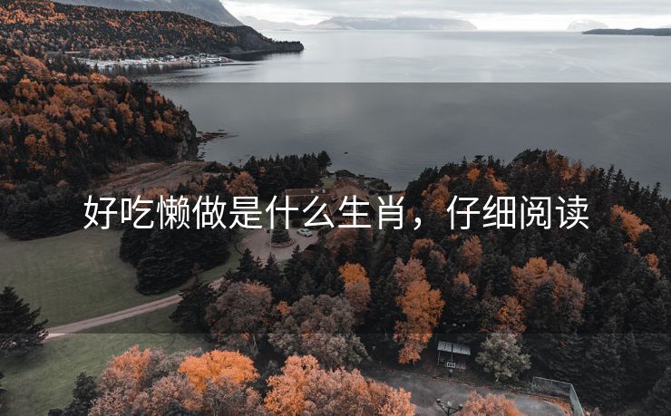 好吃懒做是什么生肖，仔细阅读