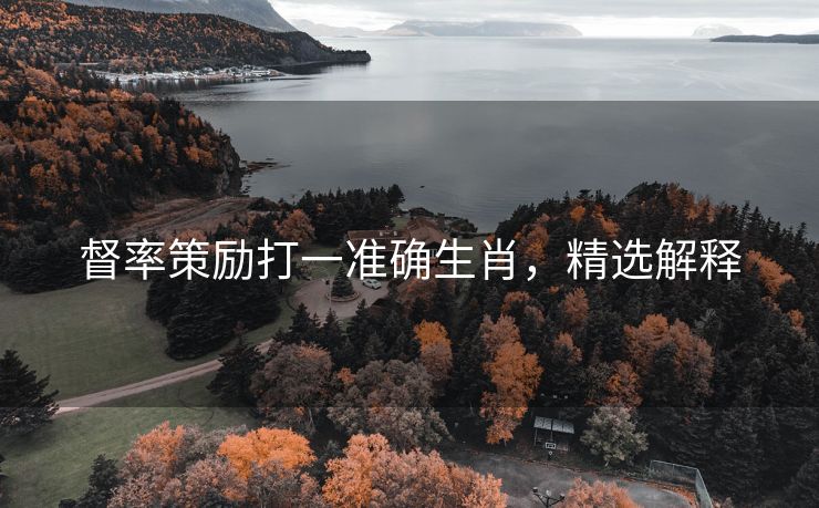 督率策励打一准确生肖，精选解释