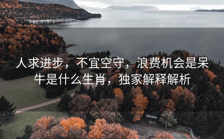 人求进步，不宜空守，浪费机会是呆牛是什么生肖，独家解释解析