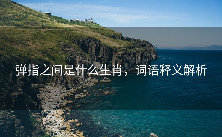 弹指之间是什么生肖，词语释义解析