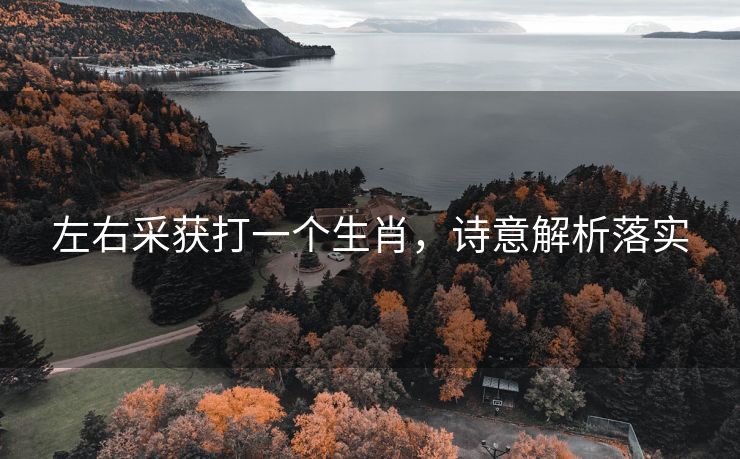 左右采获打一个生肖，诗意解析落实