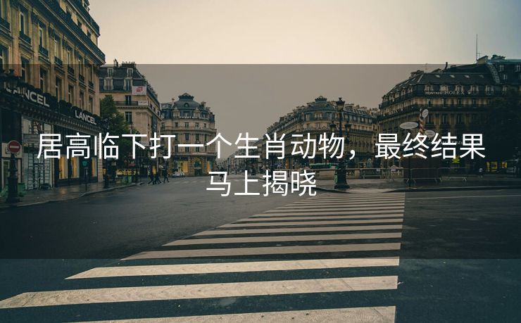 居高临下打一个生肖动物，最终结果马上揭晓