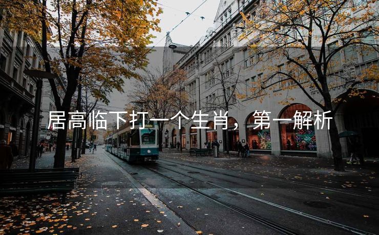 居高临下打一个生肖，第一解析
