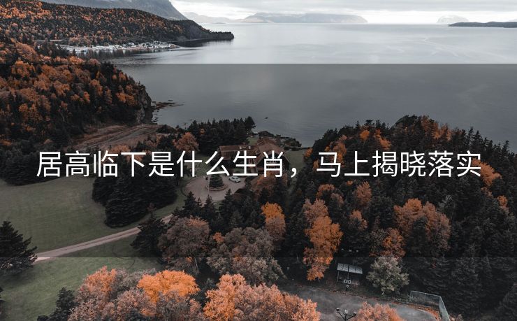 居高临下是什么生肖，马上揭晓落实