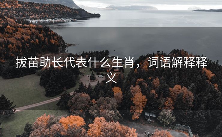 拔苗助长代表什么生肖，词语解释释义